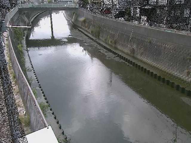 根岸歩道橋付近のカメラ画像