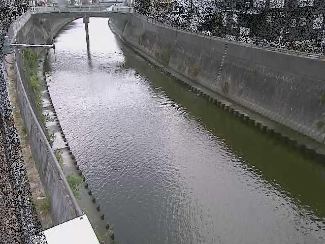 根岸歩道橋付近のカメラ画像