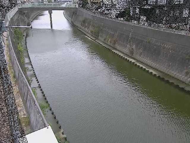 平作川 根岸歩道橋付近のカメラ画像
