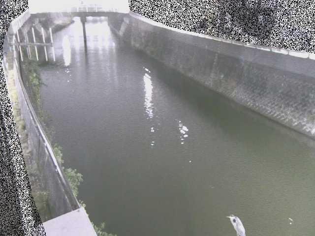 平作川 根岸歩道橋付近のカメラ画像