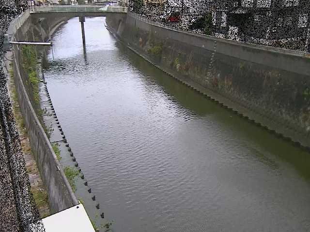 根岸歩道橋付近のカメラ画像