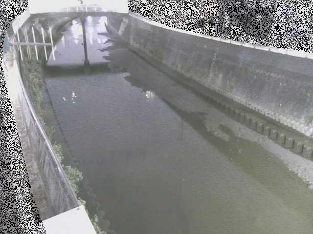 平作川 根岸歩道橋付近のカメラ画像