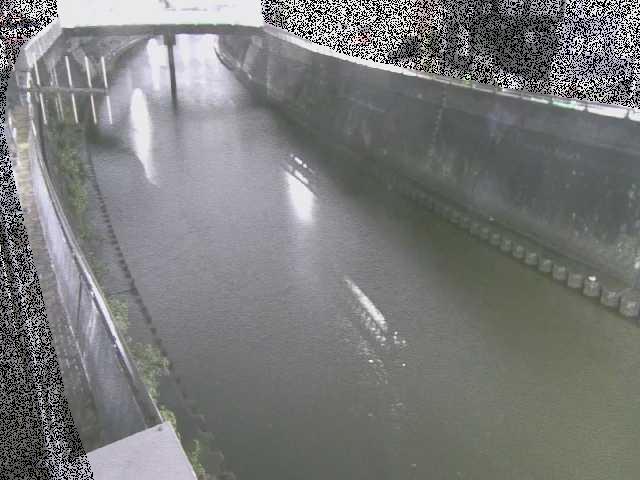 根岸歩道橋付近のカメラ画像