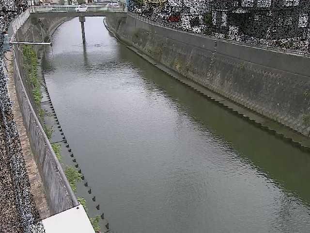 根岸歩道橋付近のカメラ画像