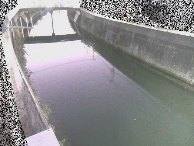 根岸歩道橋付近のカメラ画像