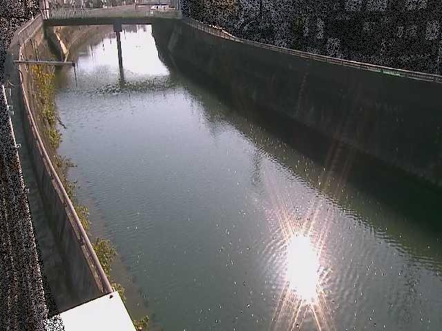 根岸歩道橋付近のカメラ画像