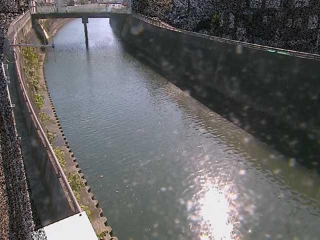根岸歩道橋付近のカメラ画像