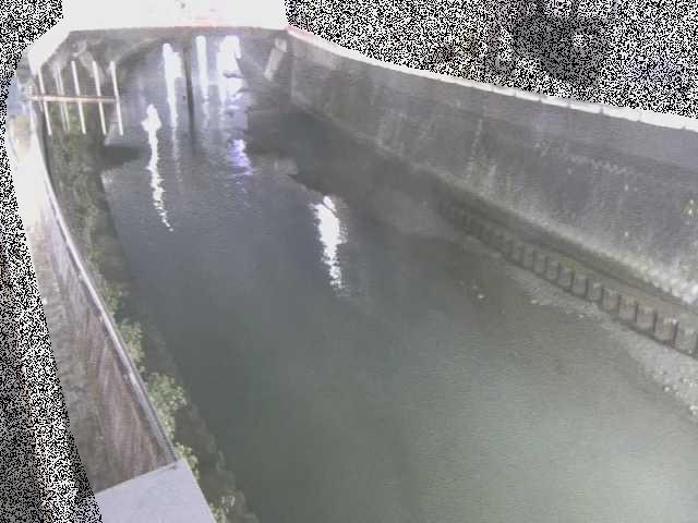 平作川 根岸歩道橋付近のカメラ画像
