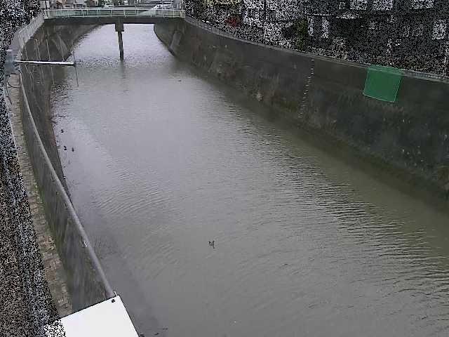 根岸歩道橋付近のカメラ画像