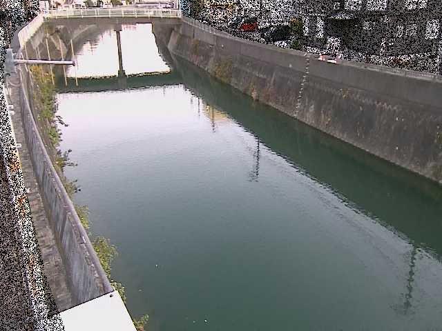 根岸歩道橋付近のカメラ画像