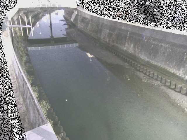 根岸歩道橋付近のカメラ画像