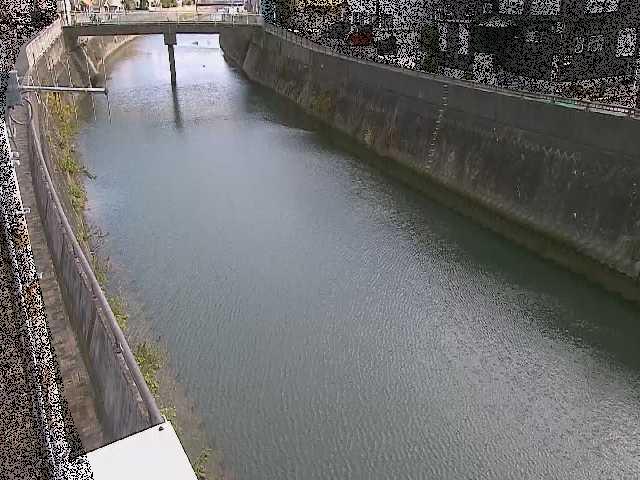 根岸歩道橋付近のカメラ画像