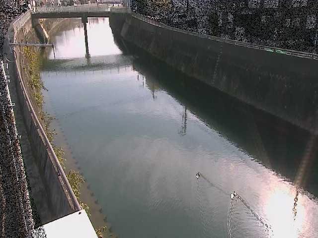 根岸歩道橋付近のカメラ画像