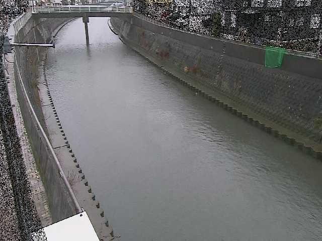 根岸歩道橋付近のカメラ画像