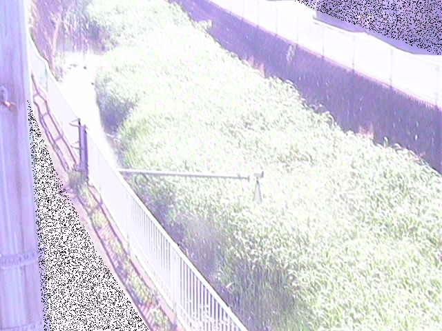 田越川 堰橋付近のカメラ画像