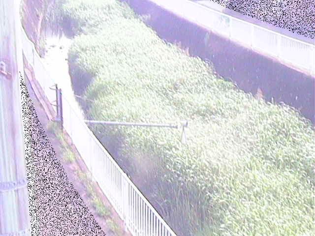 堰橋付近のカメラ画像