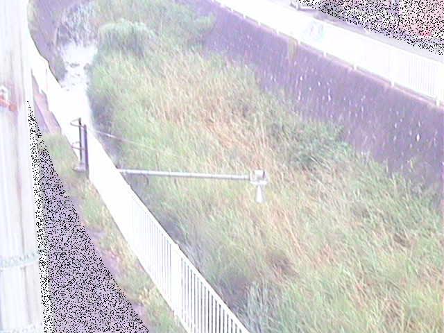 田越川 堰橋付近のカメラ画像