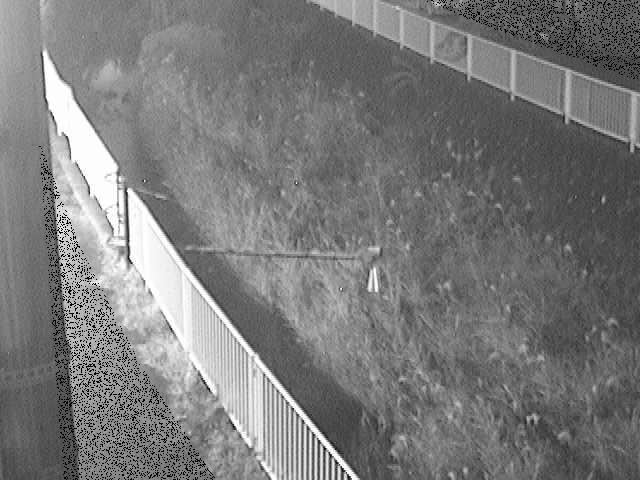 堰橋付近のカメラ画像