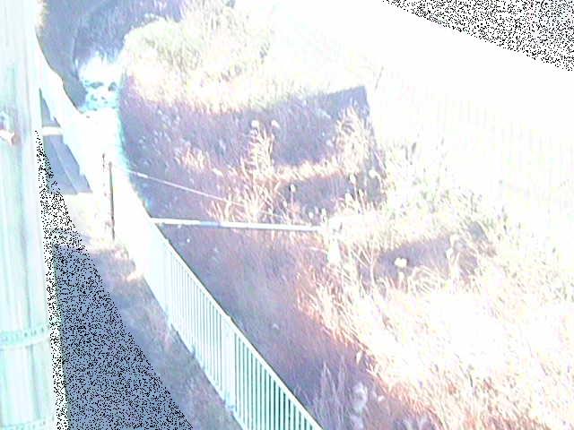 堰橋付近のカメラ画像
