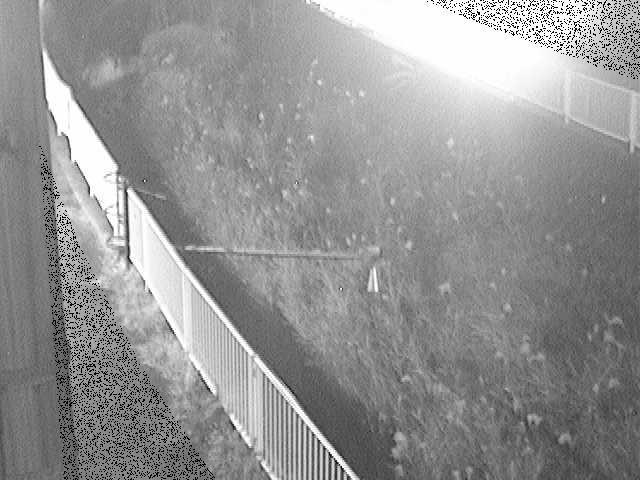 田越川 堰橋付近のカメラ画像