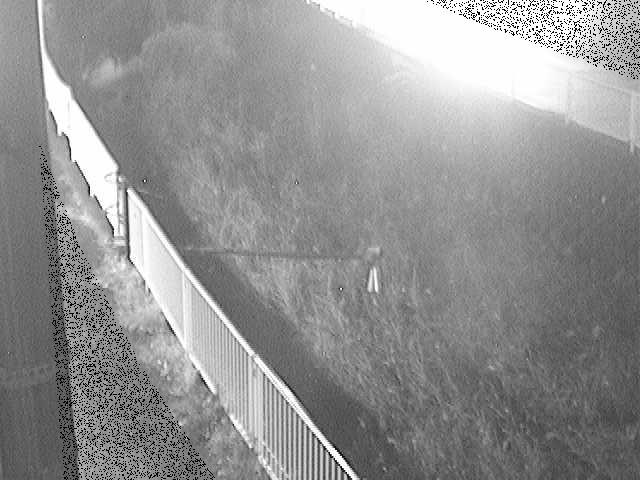 田越川 堰橋付近のカメラ画像