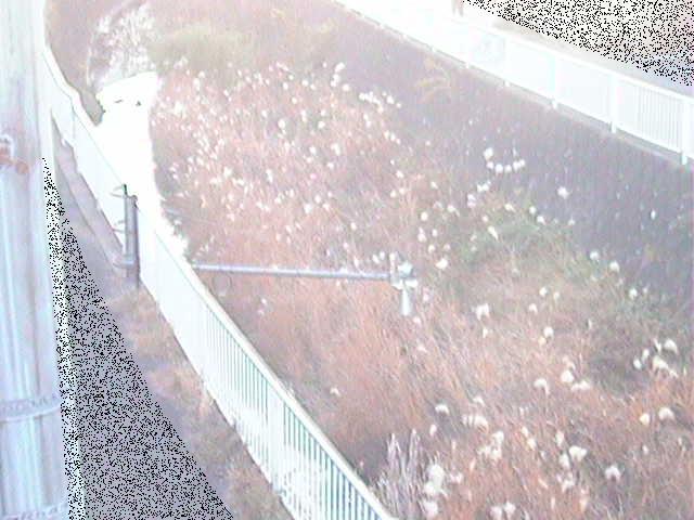 堰橋付近のカメラ画像