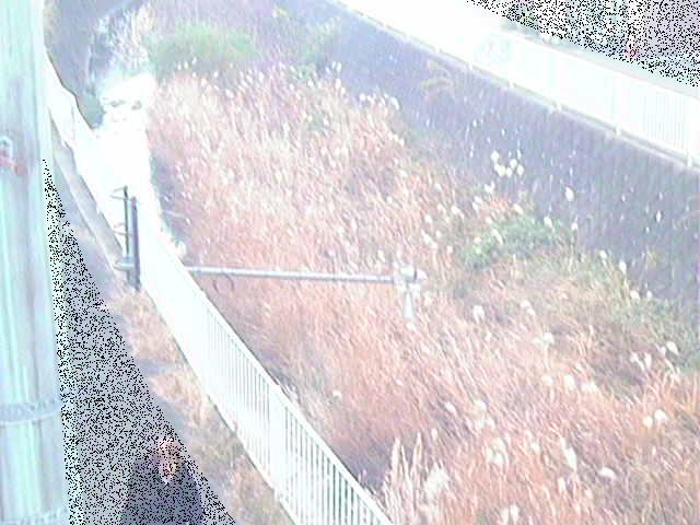堰橋付近のカメラ画像