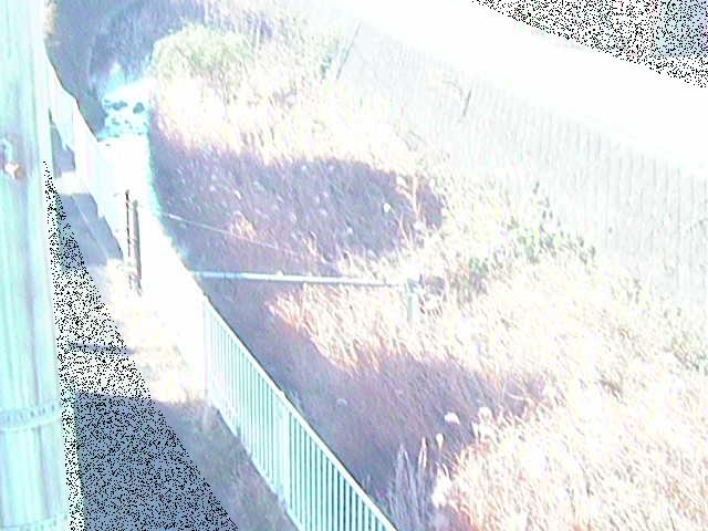 堰橋付近のカメラ画像