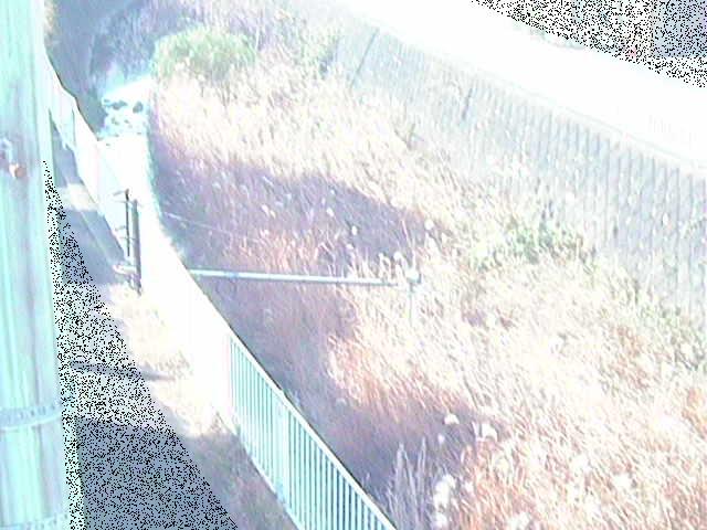 田越川 堰橋付近のカメラ画像