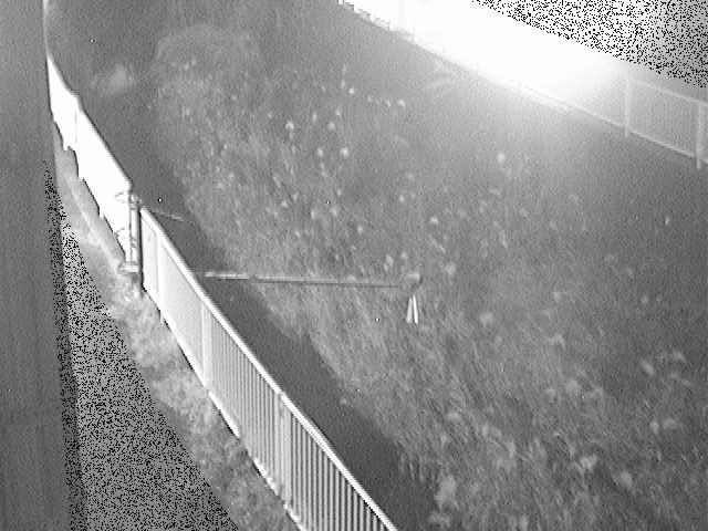 田越川 堰橋付近のカメラ画像