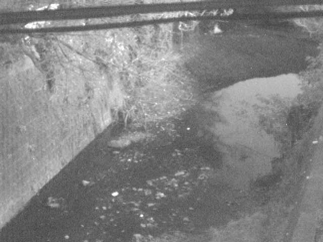 下小路橋付近のカメラ画像