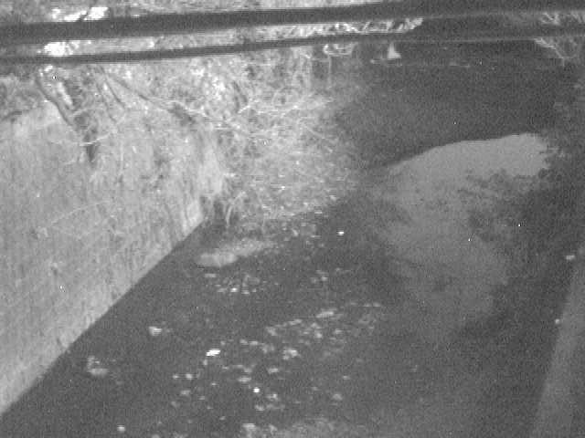 森戸川 下小路橋付近のカメラ画像