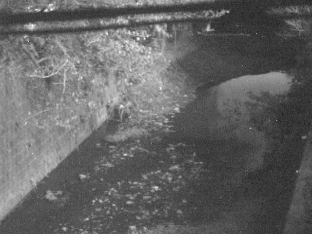 森戸川 下小路橋付近のカメラ画像