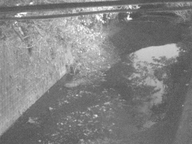 森戸川 下小路橋付近のカメラ画像