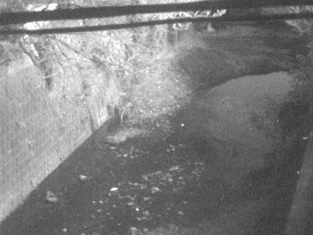 下小路橋付近のカメラ画像