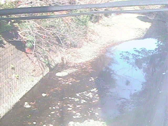 森戸川 下小路橋付近のカメラ画像