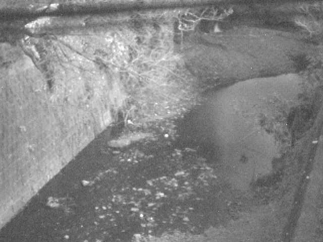 森戸川 下小路橋付近のカメラ画像