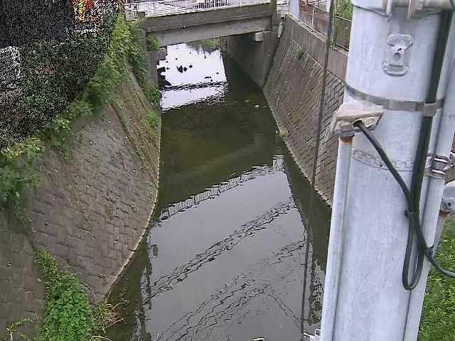 大橋付近のカメラ画像