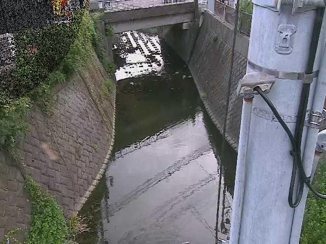 大橋付近のカメラ画像