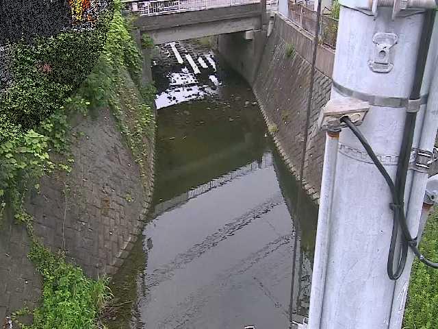 大橋付近のカメラ画像