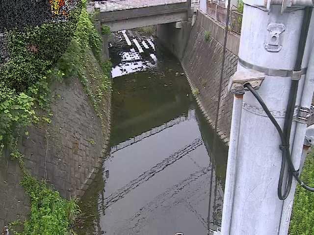 竹川 大橋付近のカメラ画像