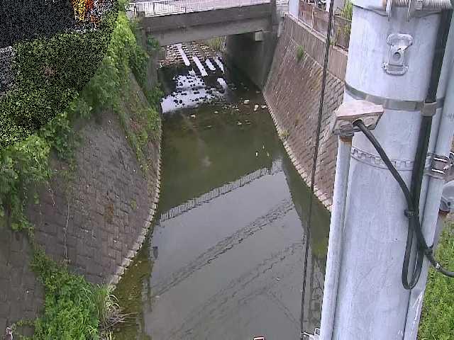 竹川 大橋付近のカメラ画像
