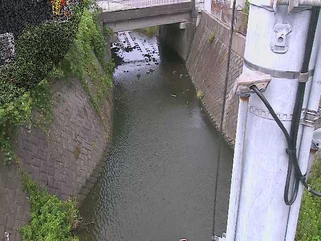 竹川 大橋付近のカメラ画像