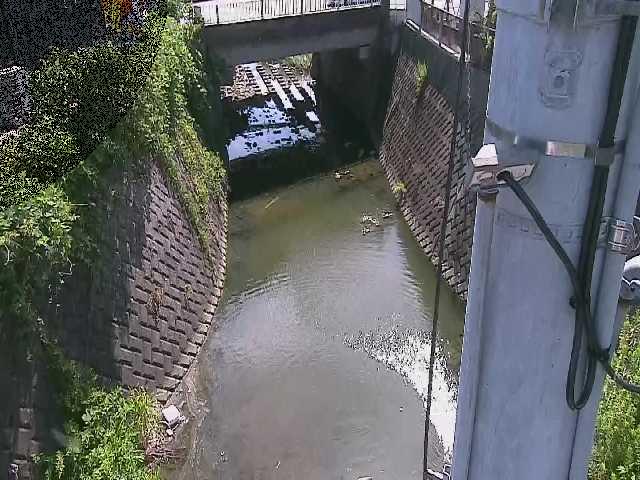 竹川 大橋付近のカメラ画像