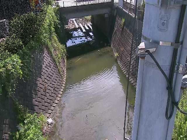 大橋付近のカメラ画像