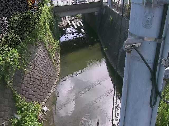 大橋付近のカメラ画像