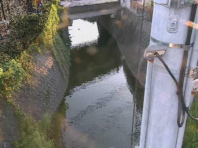 竹川 大橋付近のカメラ画像