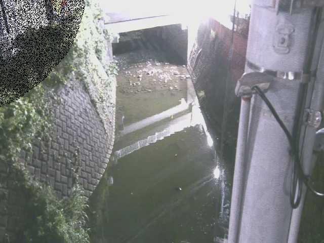竹川 大橋付近のカメラ画像