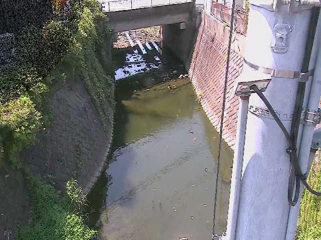 竹川 大橋付近のカメラ画像