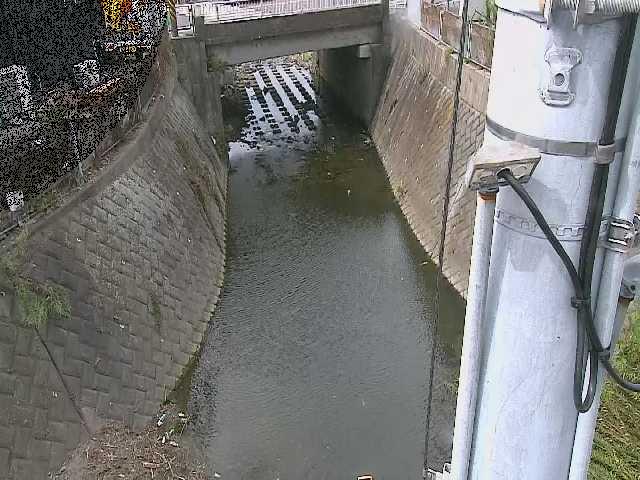 大橋付近のカメラ画像